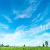 DD Music Garden - Green Dream - Single